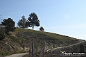 VBS_1146 - Santo Stefano Roero